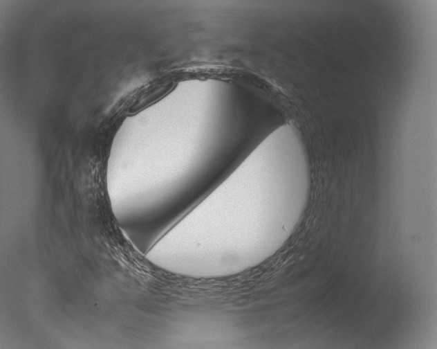 X0000077381351200610201029