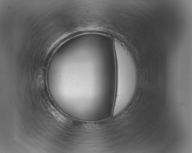 X0000077381356200610201029
