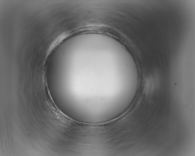 X0000077381362200610201029