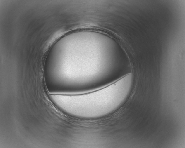 X0000077381363200610201029