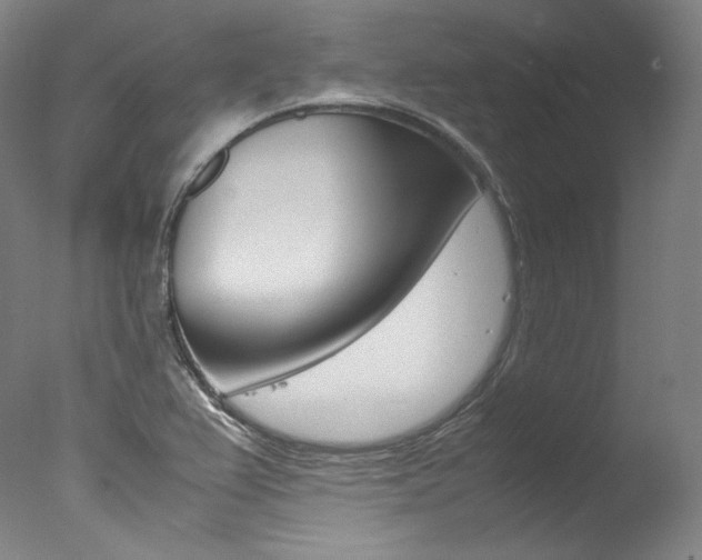 X0000077381367200610201029