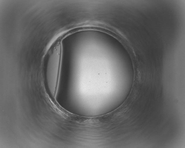 X0000077381368200610201029