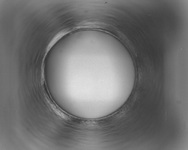 X0000077381370200610201029
