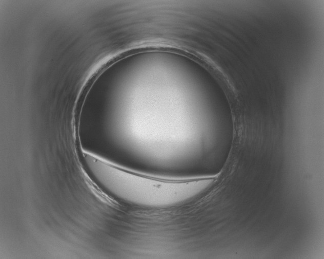 X0000077381372200610201029