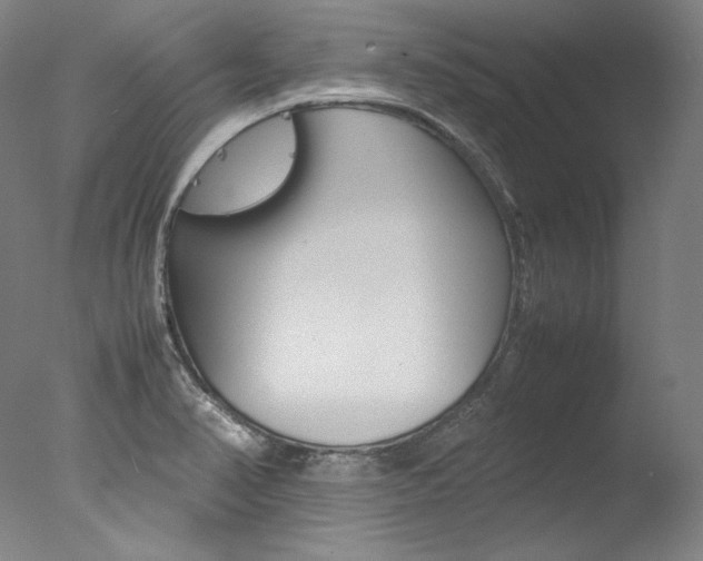 X0000077381374200610201029