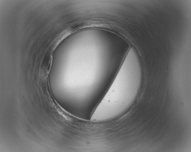 X0000077381377200610201029