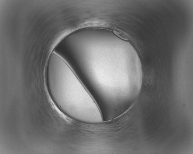 X0000077381383200610201029