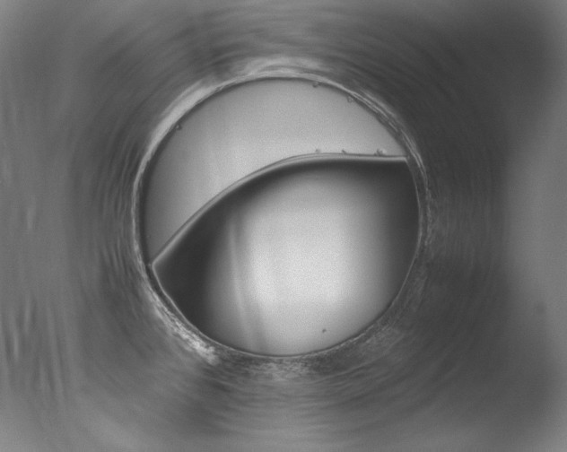 X0000077381384200610201029