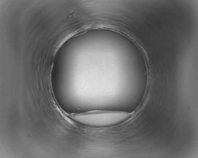 X0000077381385200610201029
