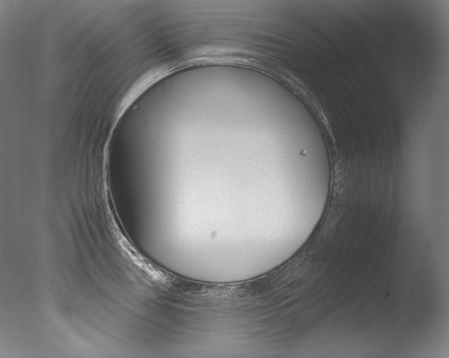X0000077381386200610201029