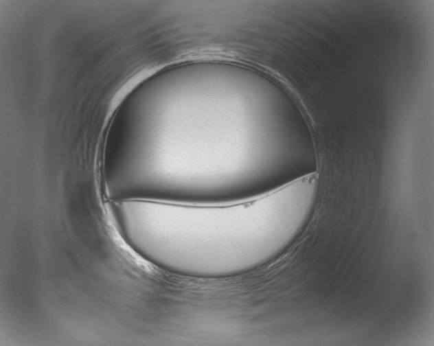 X0000077381387200610201029