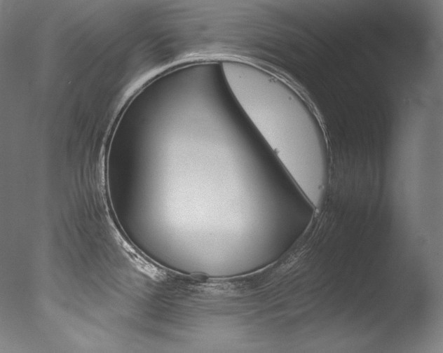 X0000077381388200610201029
