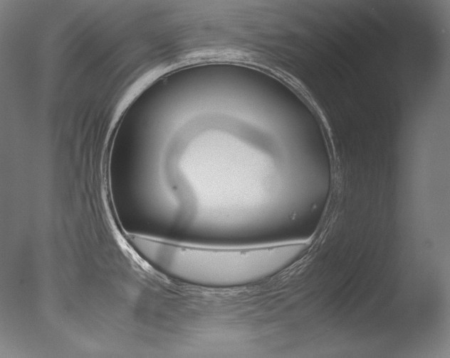 X0000077381389200610201029