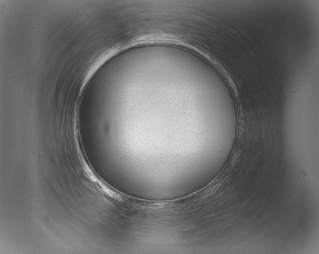 X0000077381390200610201029
