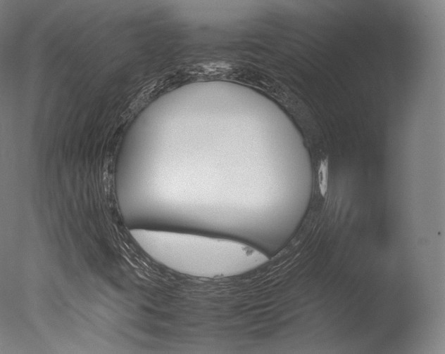 X0000077381395200610201028