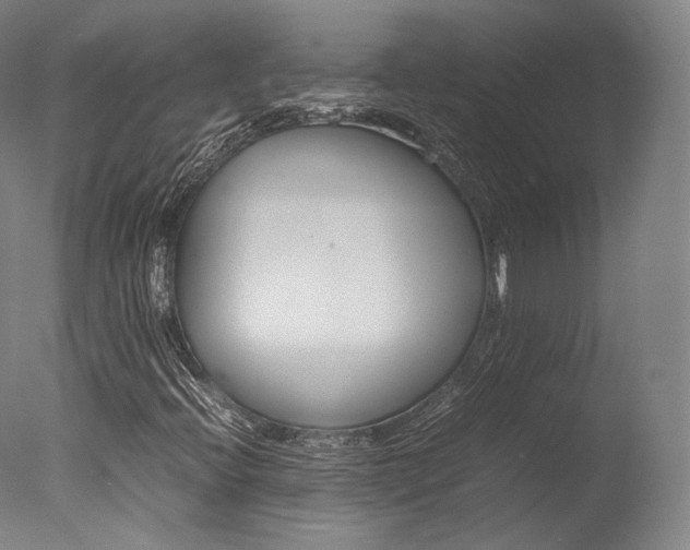 X0000077381396200610201028