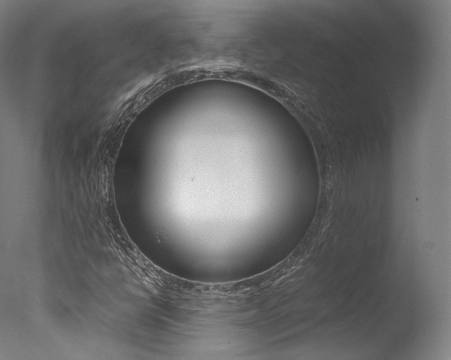 X0000077381398200610201028
