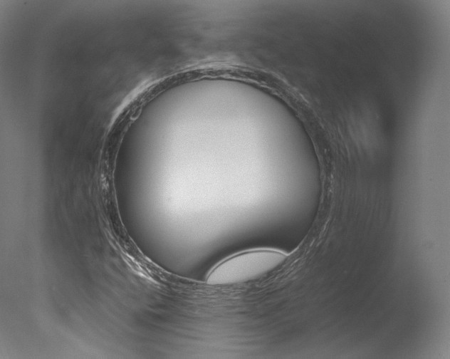 X0000077381400200610201028