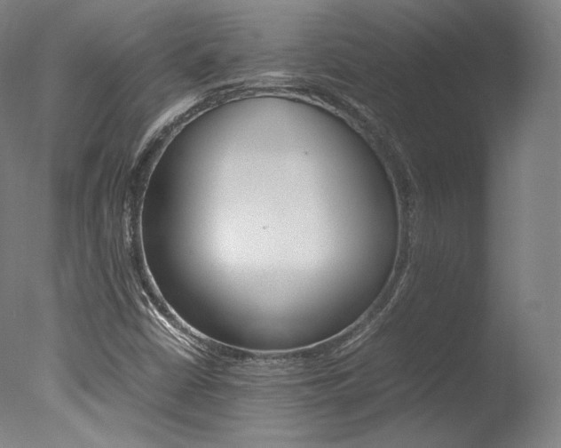 X0000077381402200610201028