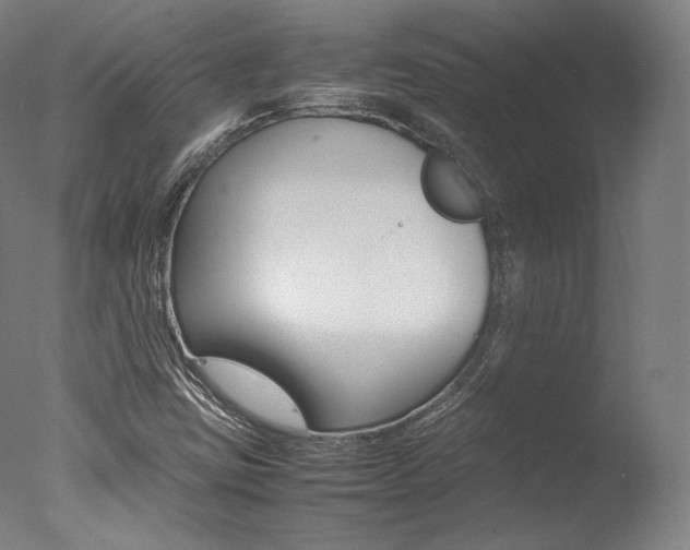 X0000077381403200610201028