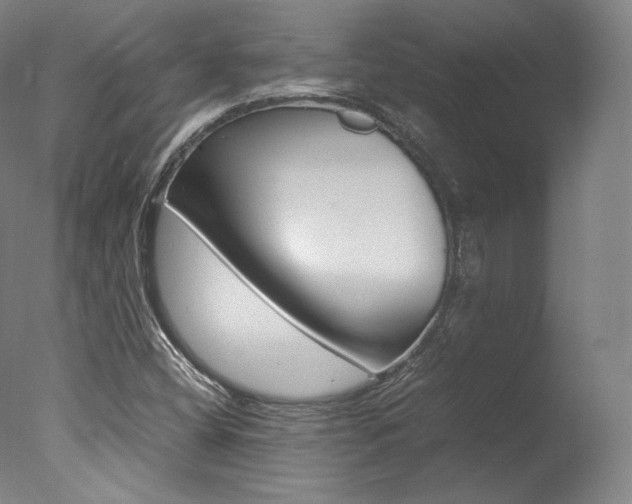 X0000077381404200610201028