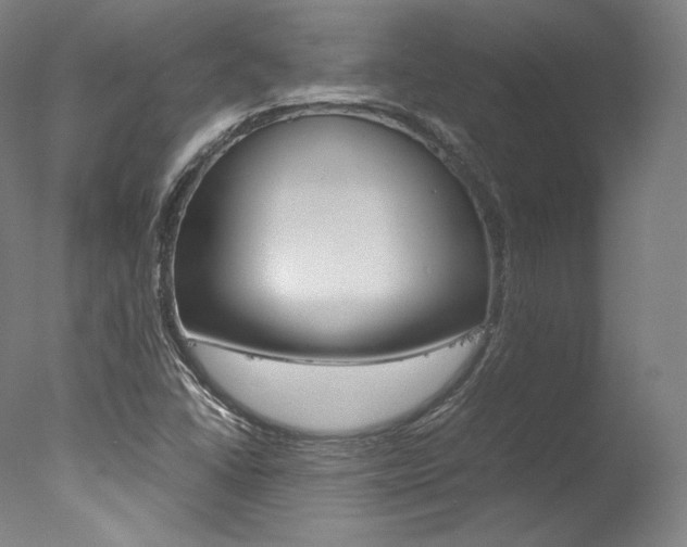 X0000077381406200610201028