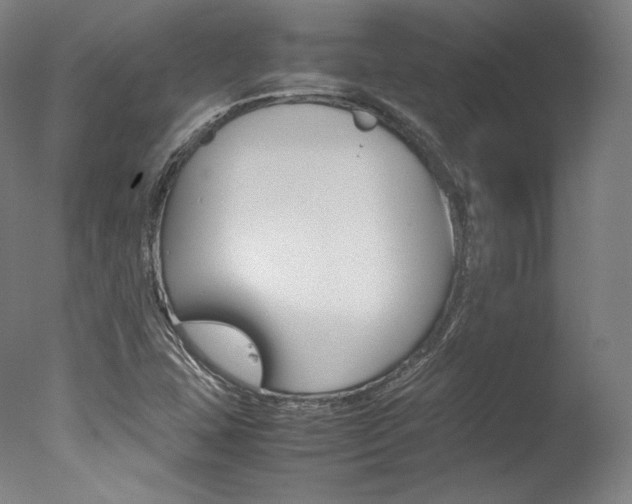 X0000077381407200610201028