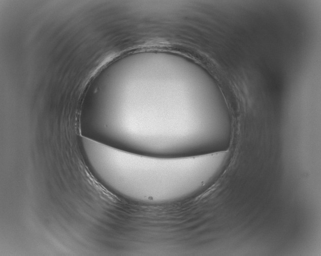 X0000077381409200610201028