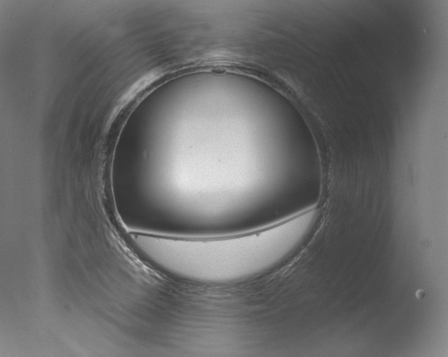 X0000077381410200610201028