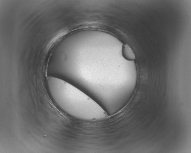 X0000077381411200610201028