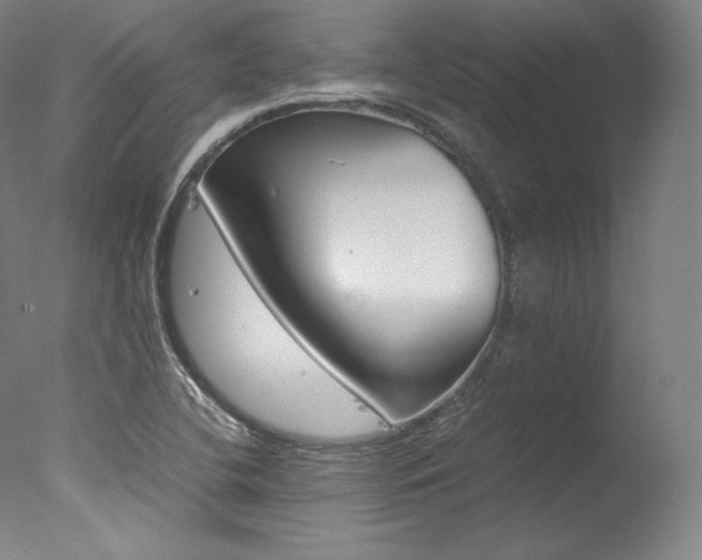 X0000077381412200610201028
