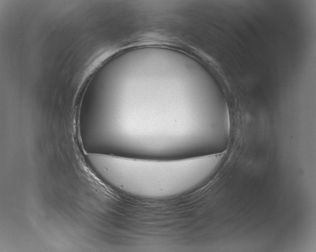 X0000077381415200610201028