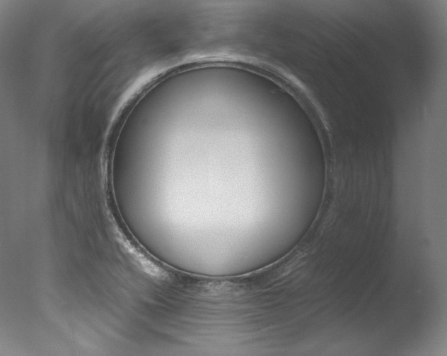 X0000077381416200610201028