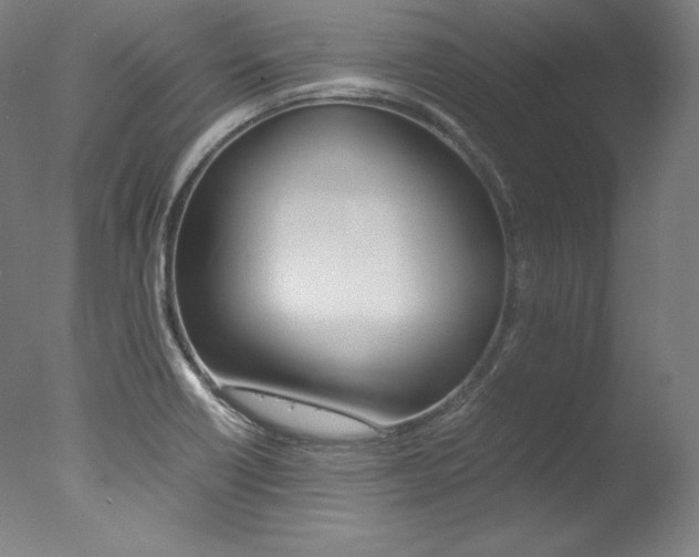 X0000077381418200610201028