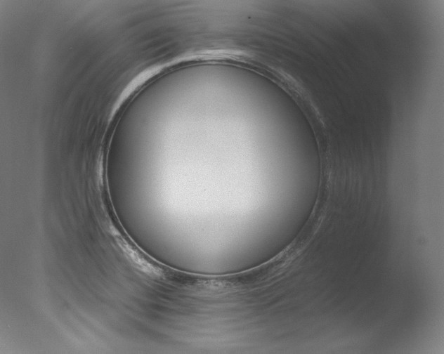 X0000077381420200610201028