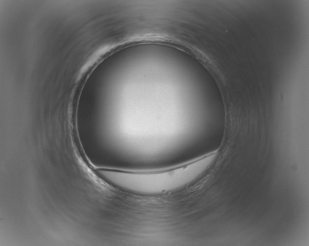 X0000077381422200610201028