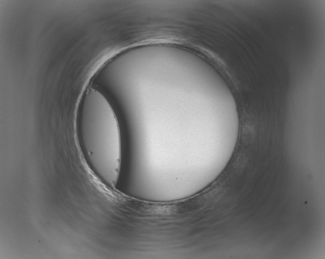 X0000077381423200610201028