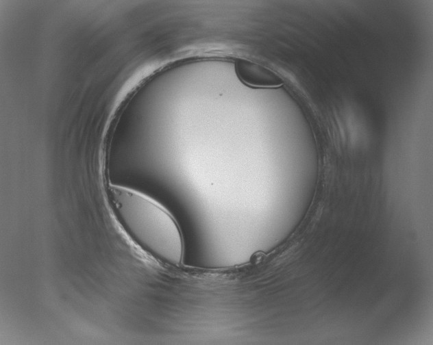 X0000077381424200610201028