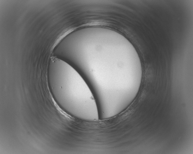 X0000077381425200610201028
