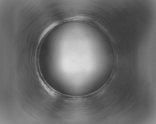 X0000077381426200610201028