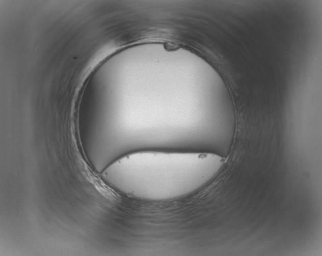 X0000077381427200610201028