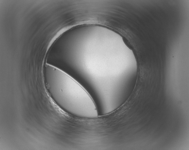 X0000077381428200610201028