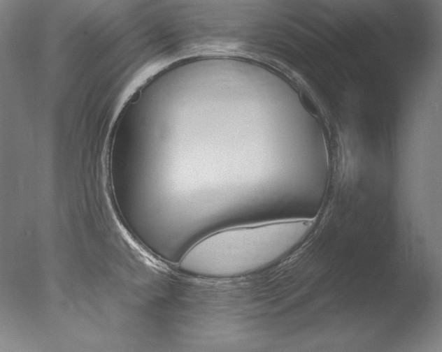 X0000077381432200610201028
