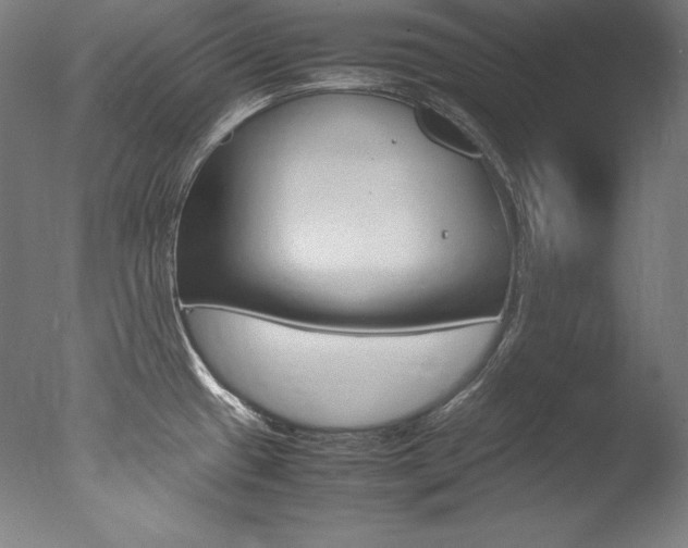 X0000077381433200610201029