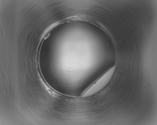 X0000077381434200610201029