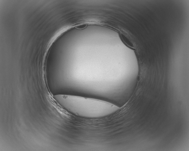 X0000077381435200610201029