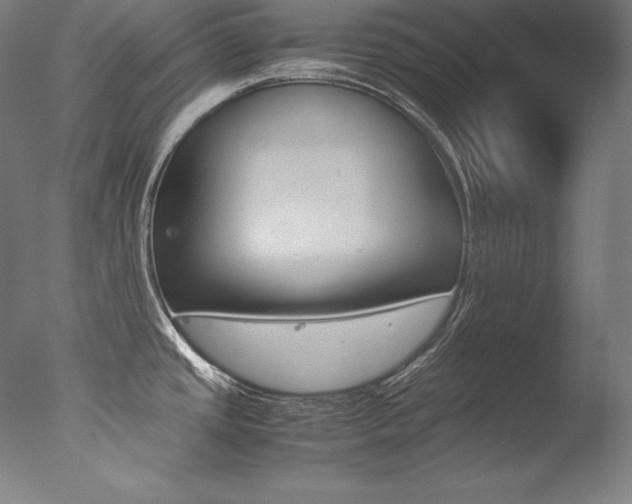X0000077381437200610201029