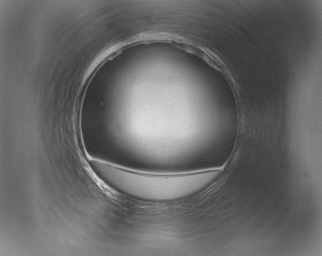 X0000077381438200610201029