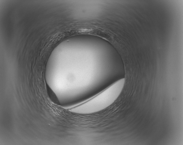 X0000077381441200610201028