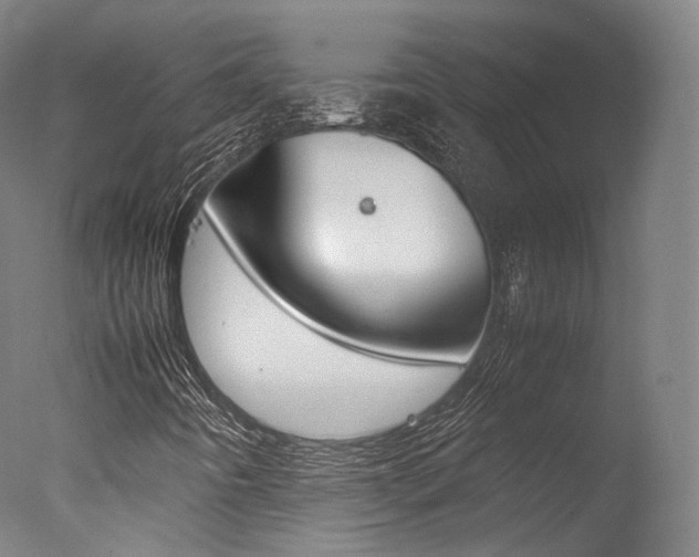 X0000077381442200610201028